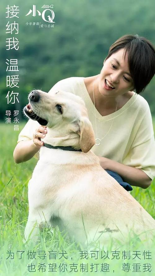 办假的韩国忠北国立大学文凭毕业证